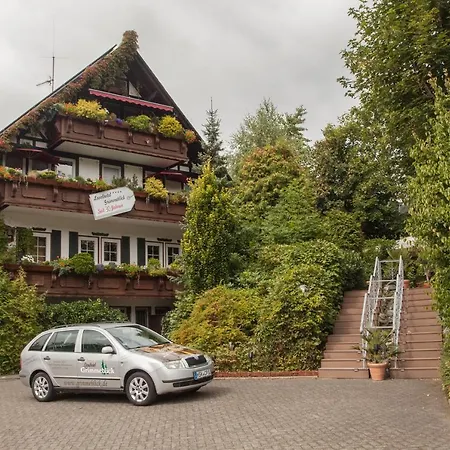 Hotel Grimmeblick Winterberg